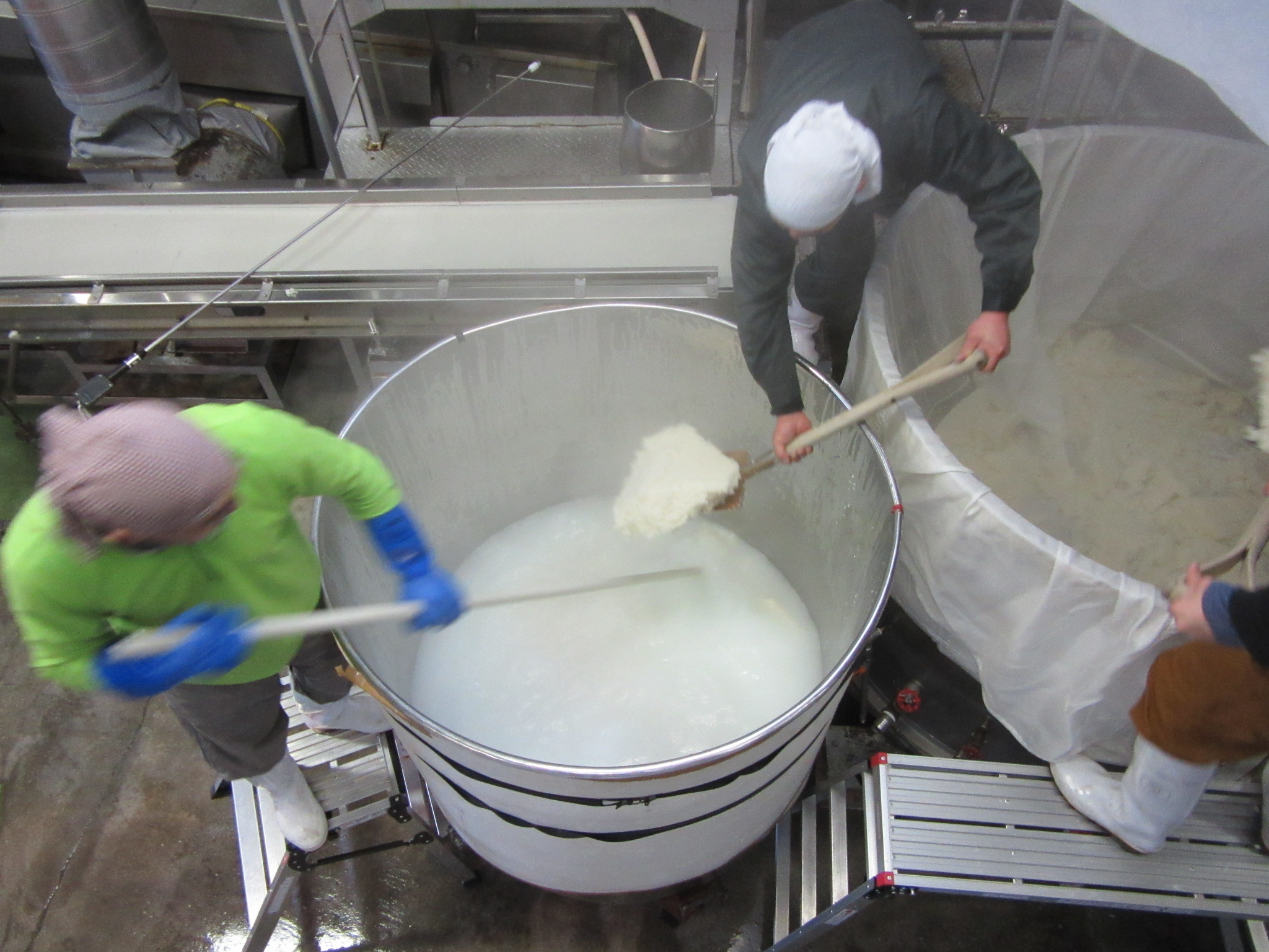 steamed rice 蒸米 being added grain brew sake brewer